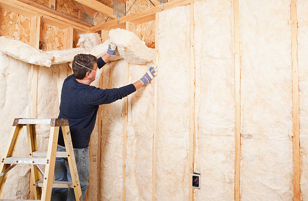 Professional Insulation Removal & Installation in Meridian Hills, IN